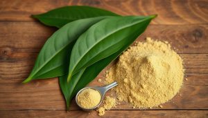 Does Kratom Show Up On Drug Tests? Complete Detection Guide