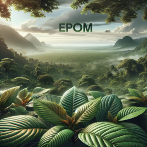 Kratom Capsules And Powder Moisture Control